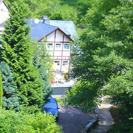 Pension&apartments Linkemühle Gasthof