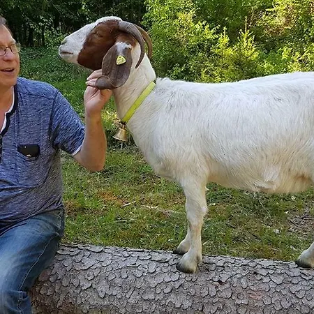 בית הארחה & Linkemuehle Niederfell