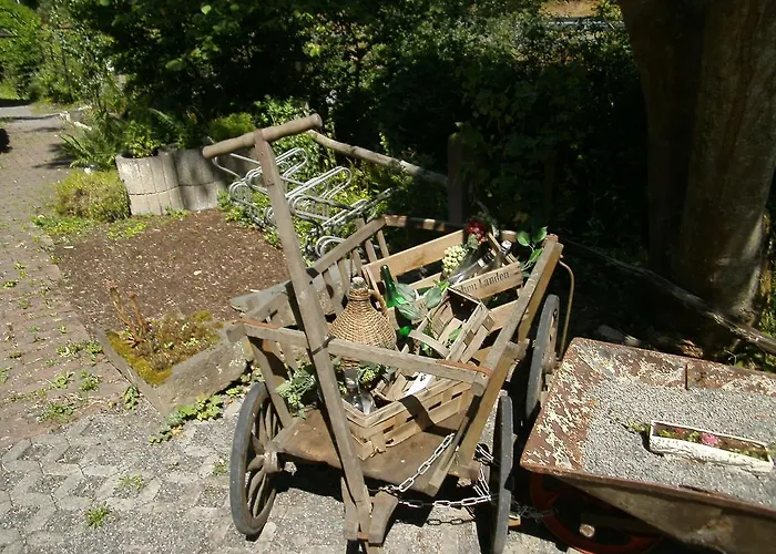 & Linkemuehle 3* 니데르펠