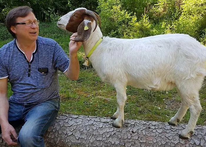 게스트하우스 & Linkemuehle 니데르펠